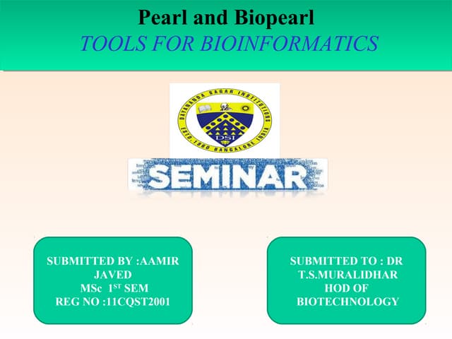 Aamir javed perl