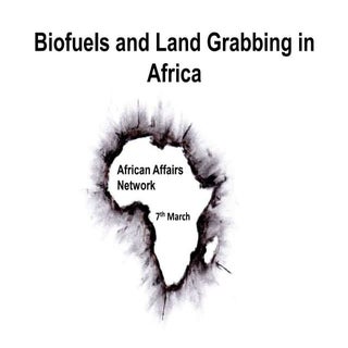 AAN Biofuels and Land Grabbing
