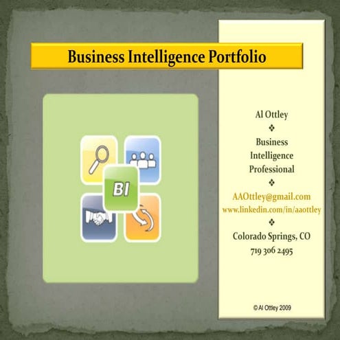 AAO BI Portfolio