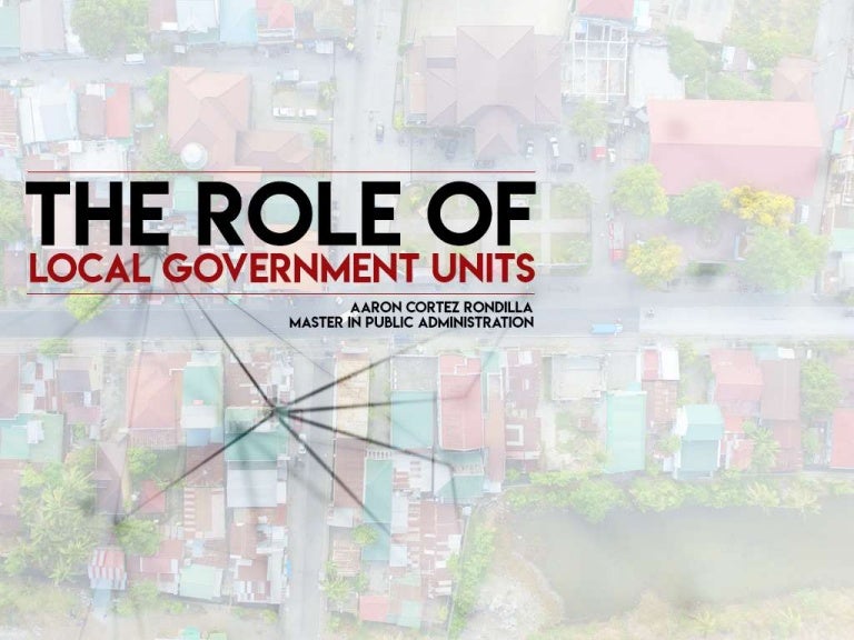 Role of Local Government