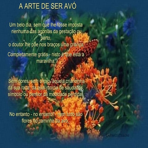 A  A R T E  D E  S E R  A V O  S O M