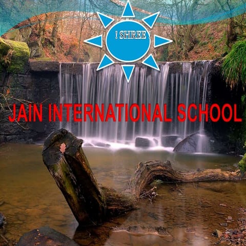 Acid,Bases And Salt(s) (ScienCe)