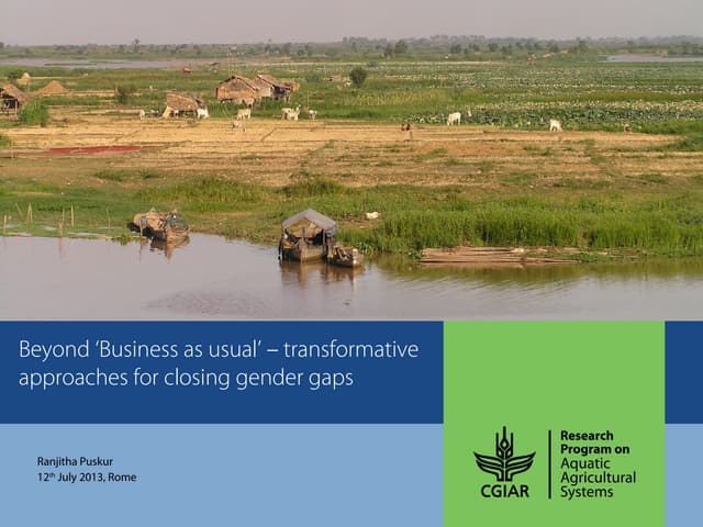 Beyond 'Business as usual' - transformative approaches for closing gender gaps