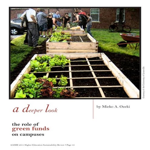Aashe article a deeper look the role of green funds on campuses-m.ozeki