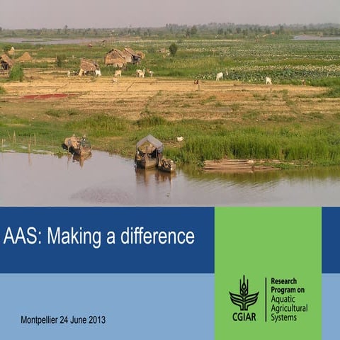 AAS – Presentation for Discussion with Donors and Partners – June 2013