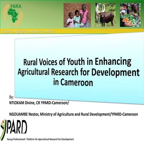 Rural voices of youth in enhancing Agriculture in Cameroon | PPTX