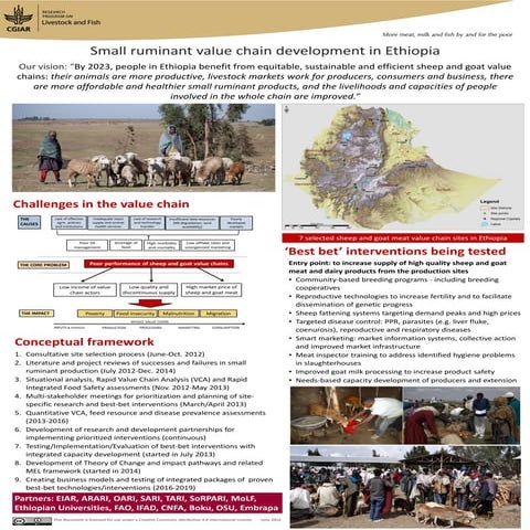 Small ruminant value chain development in Ethiopia