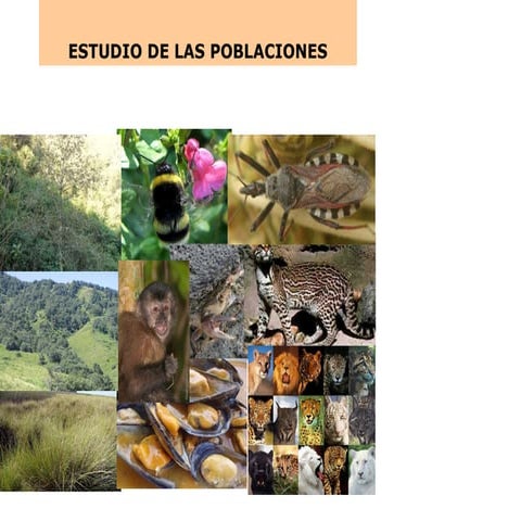 Estudio de poblaciones 