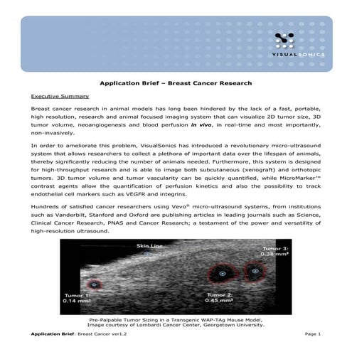 Application Brief - Breast Cancer Research