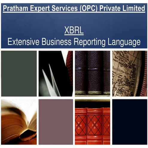 XBRL Experts -India