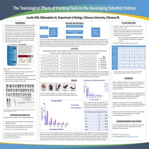 MauraLavelle_VurfPoster