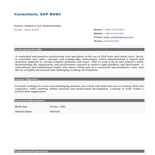 Salam Abdelkhader CV