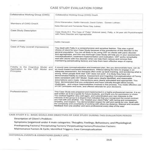 Case Study Evaluations