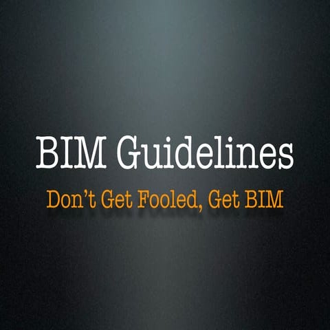 BIM Guidelines