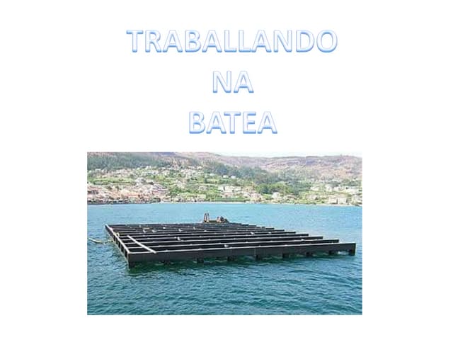 A batea Álex Jonathan Paula 