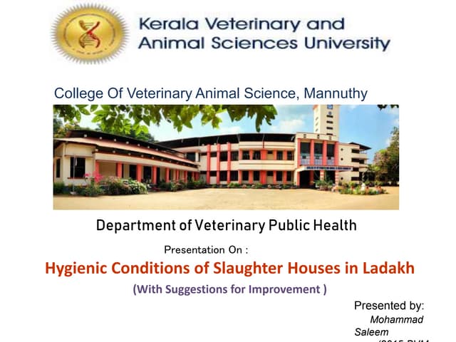 LAYOUT DESIGN OF SLAUGHTER HOUSE.pptx