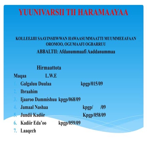 ABBALTII SIRRII UNIVERSITY HARAMAYA.pptx