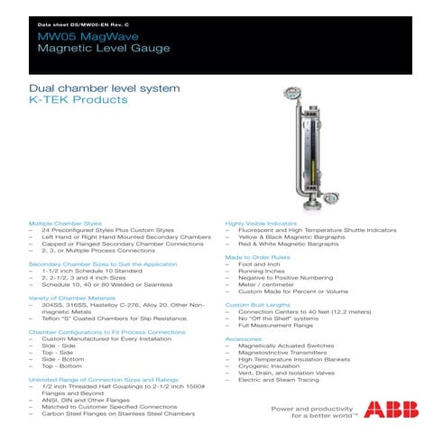 Combination Guided Wave Radar Transmitter and Magnetic Level Gauge
