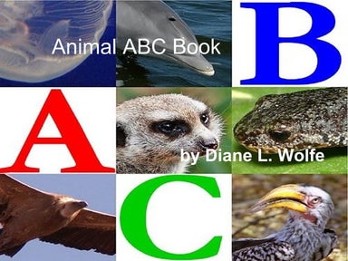 Alphardy | PDF