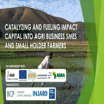 Cathalising and fueling impact of agribusiness