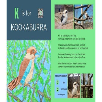 ABC Keystone Safari Rhymes - A book by Janice Abernethy