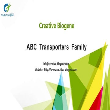 Abc transporters family