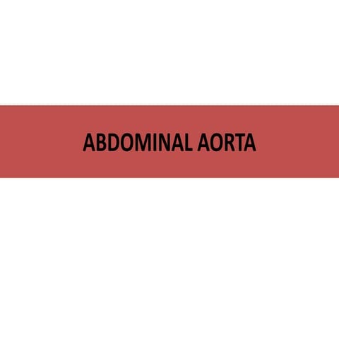 abdominal aorta anatomy abdomen topic.pptx