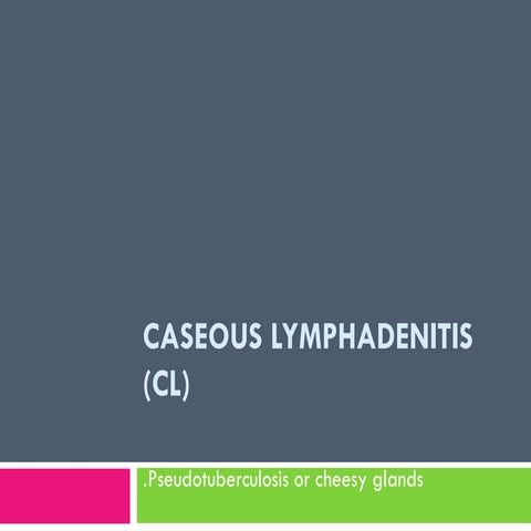 Caseous lymphadenitis | PDF