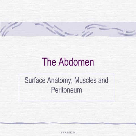 Abdomen | PPT