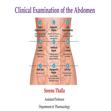 Clinical Examinations of the Abdomen with Images