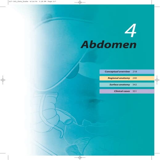abdomen. anatomy general medicine in dentistry | PDF