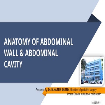 Abdominal anatomy | PPT