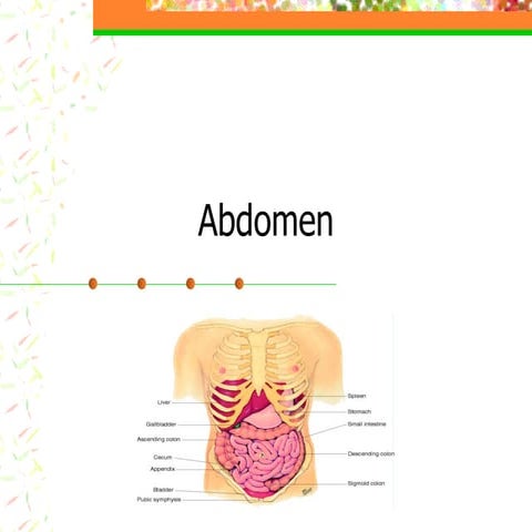 Abdomen & Breasts