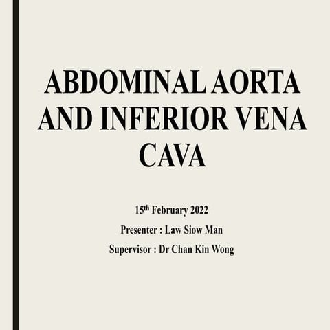 9.25.16 Abdominal Angiogram Patient Education | DOCX