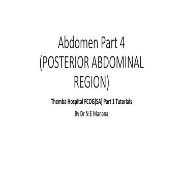 Abdomen part 4