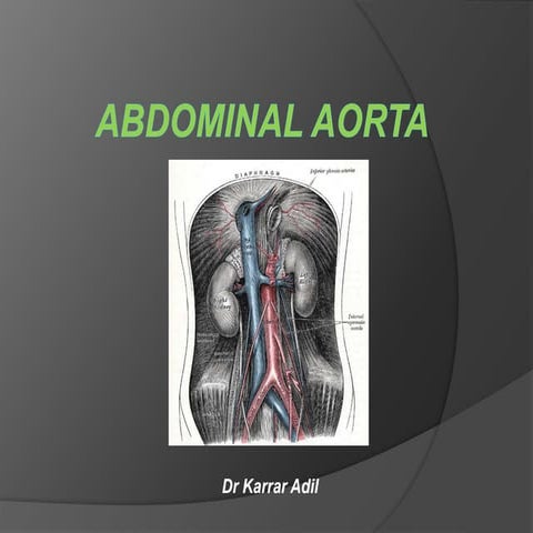 Abdominal aorta.pptx