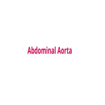 Anatomy of Abdominal Aorta in human.pptx