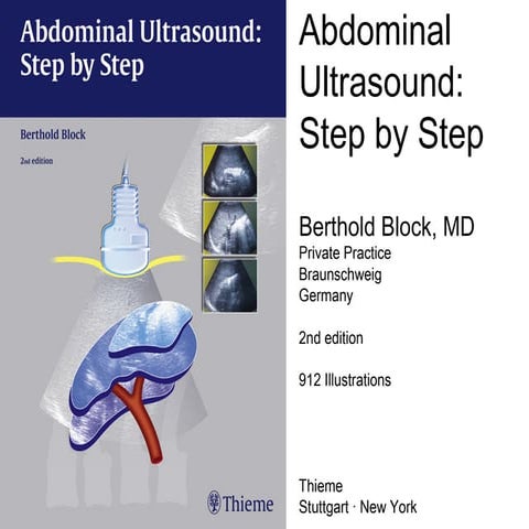 Blood vessels  the aorta and its branches,