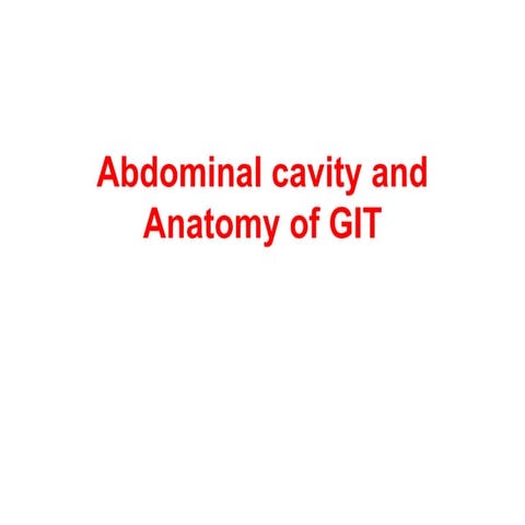 abdominal visceraWU(0).pptx