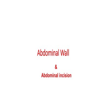 Abdominal Wall.pptx