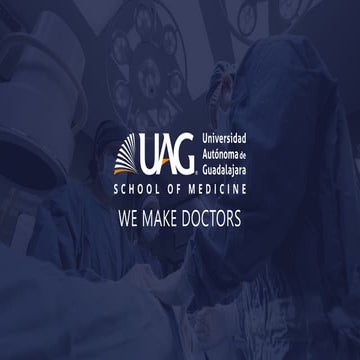 Abdominal Wall anddd Cavity Fall 2024.pdf