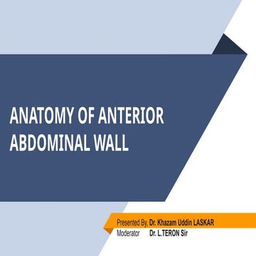 Surgical Anatomy of anterior abdominal wall | PPTX