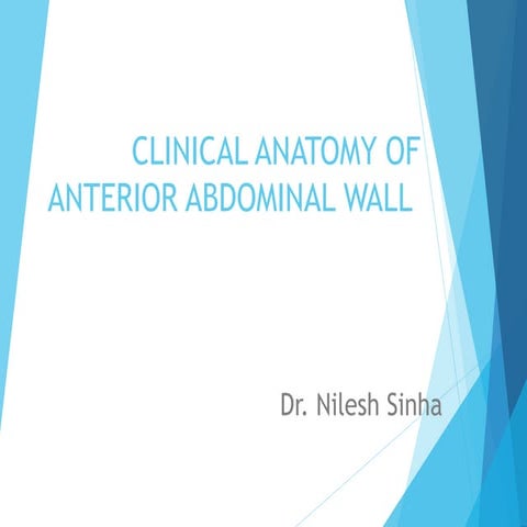 Abdominal Wall Lecture, Clinical Anatomy | PPT