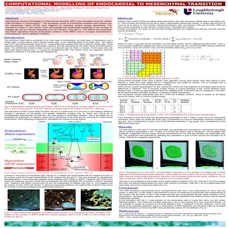 Abdulla   phd conference 2011