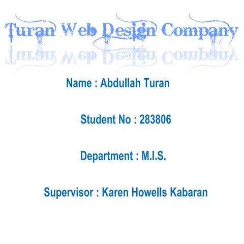 Abdullah turan 20283806 mis ass#1
