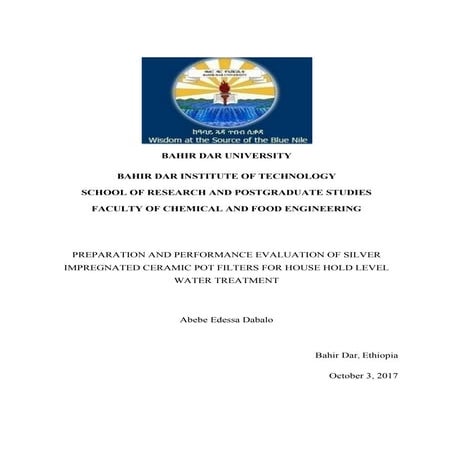 Abebe final thesis document | PDF