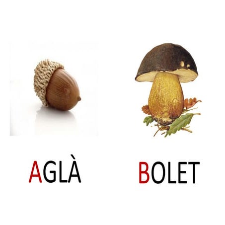 Abecedari de la tardor