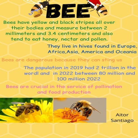 Abeja.pdf