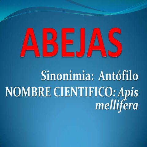 Abejas