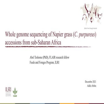 Whole genome sequencing of Napier grass (C. purpureus) accessions from sub-Sa...